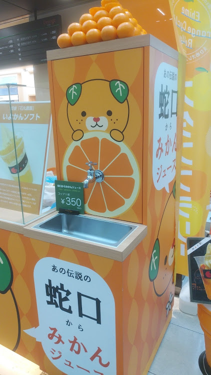 アクアの🐕に関するカスタム事例の投稿画像1枚目
