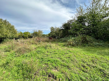 terrain à Souppes-sur-Loing (77)