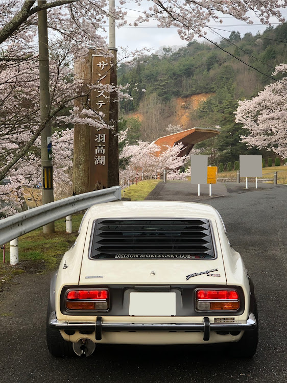 フェアレディZの桜とコラボ・ドライブ・s30z・旧車・4月もよろしくお願い致します🌸に関するカスタム事例の投稿画像5枚目