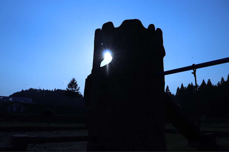 カローラフィールダーの僕の見ている風景・自粛ドライブ・さくらとコラボ・一眼レフに関するカスタム事例の投稿画像11枚目