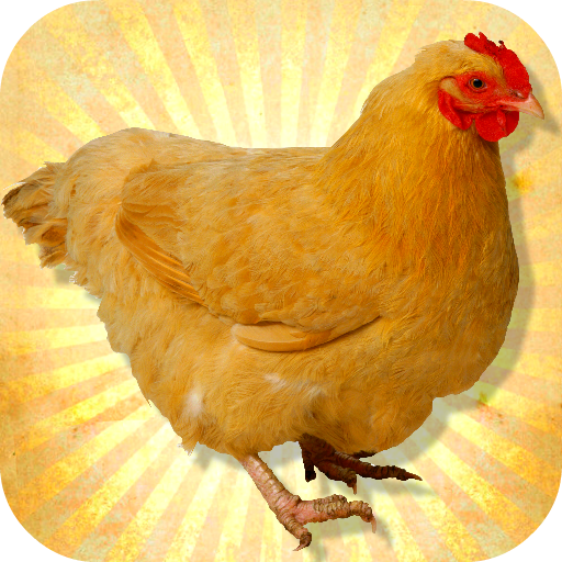 Poulet 3D Simulator icon