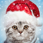 Cover Image of Télécharger Cadres photo de Noël, éditeur  APK