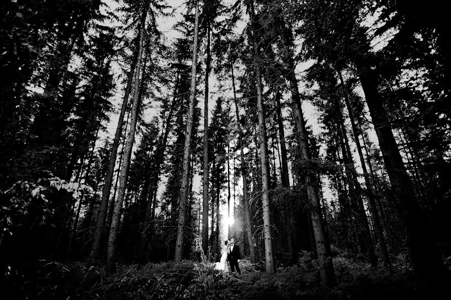 Fotógrafo de bodas Marcin Sosnicki (sosnicki). Foto del 16 de octubre 2015