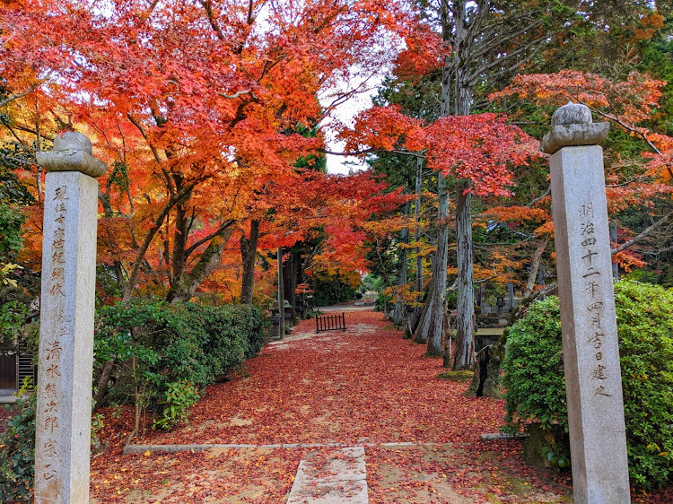 ハスラーの紅葉・紅葉と愛車・紅葉コラボ・もみじ・いちょうに関するカスタム事例の投稿画像2枚目