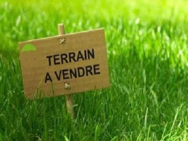 Vente terrain  2846 m² à Péaule (56130), 8 000 €