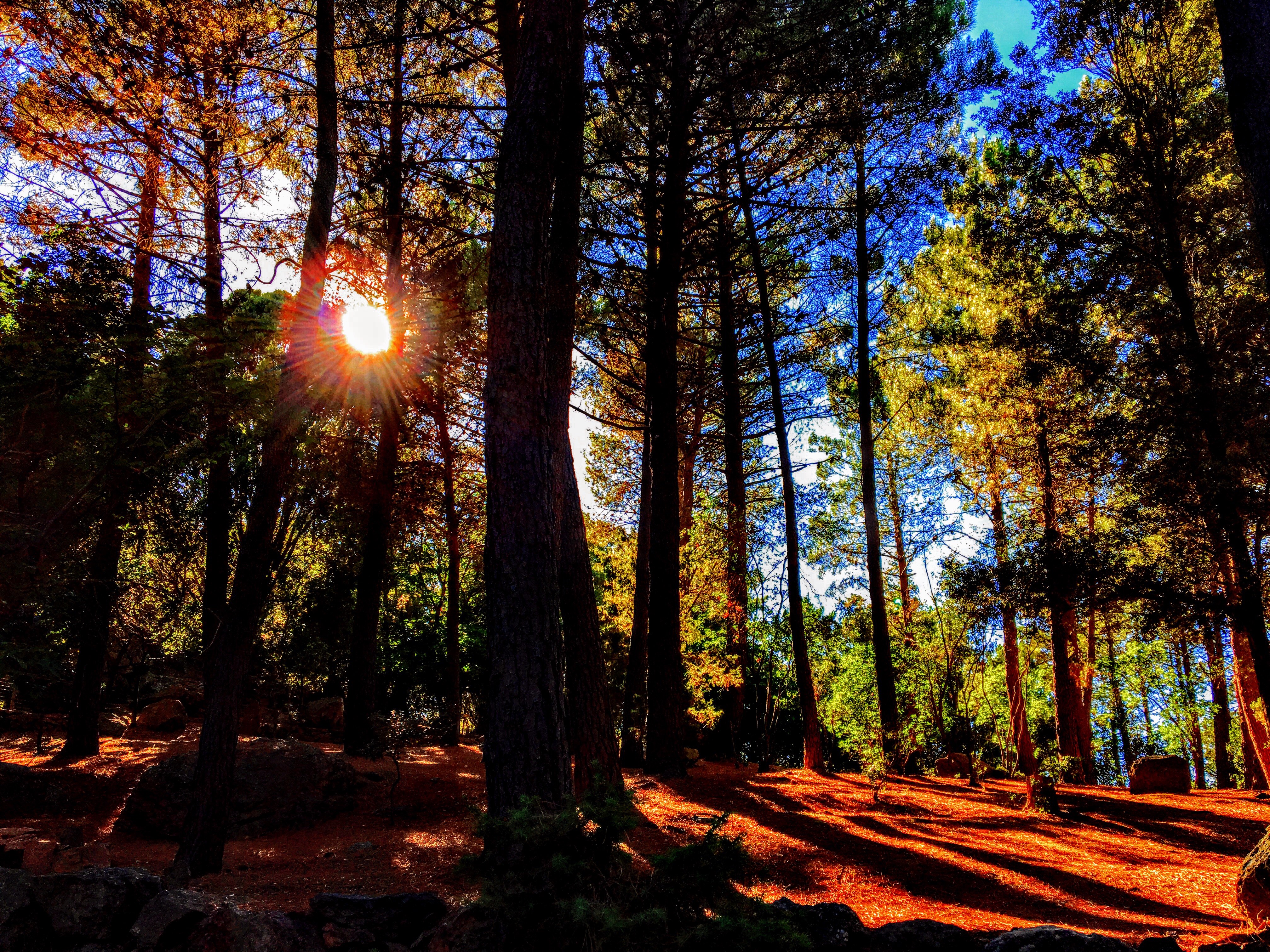 Quando il sole gioca a nascondino di paolo_ph