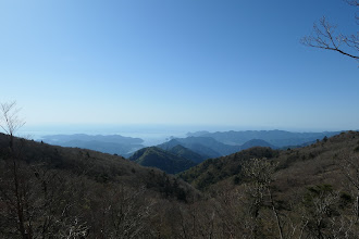 尾鷲湾が近くに