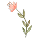 Download WAStickerApps Flowers for WhatsApp 2020 For PC Windows and Mac 1