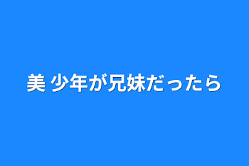 「美 少年が兄妹だったら」のメインビジュアル