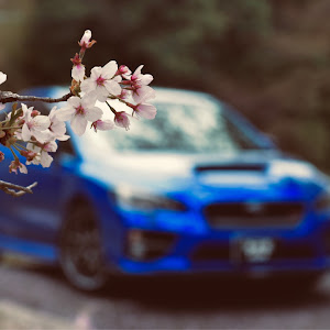 WRX STI VAB