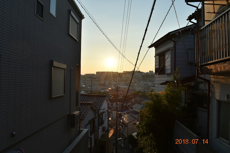 まつさんが投稿した一眼レフ初心者・カメラ練習中・機能を使いこなすまでには、まだまだ(￣▽￣;)💦・でも楽しい♪・要らん写真ですみません😣💦⤵️に関するカスタム事例の投稿画像1枚目