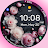 GM5 Peonies Flowers icon