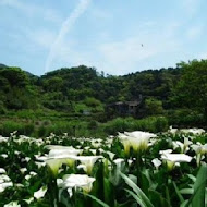 【竹子湖】苗榜花園餐廳