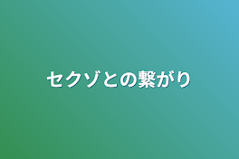 セクゾとの繋がり