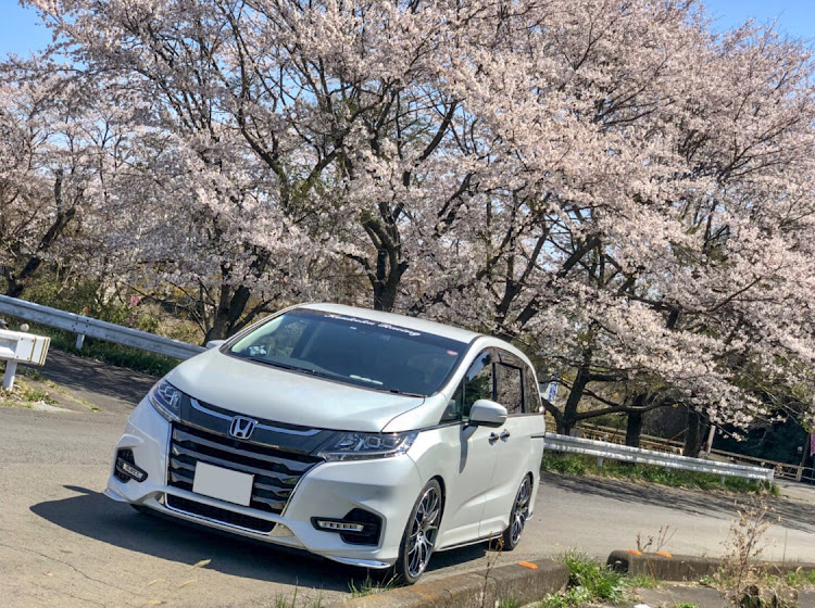オデッセイの桜とコラボ・洗車・ドライブ・オデッセイ・グリルとマフラー欲しくなった今日この頃に関するカスタム事例の投稿画像3枚目