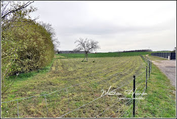 terrain à Grossoeuvre (27)