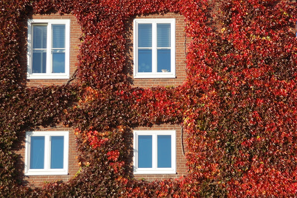 L'autunno di naquae