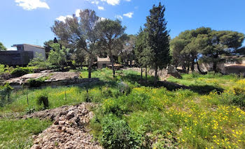 terrain à Cannes (06)