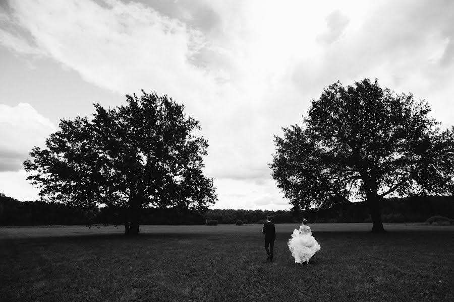 Photographe de mariage Denis Lapin (denlapin). Photo du 18 août 2019