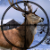 Safari Deer Hunting Ultimate Africa icon