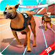 Download Crazy Dog Racing Fever For PC Windows and Mac 1.2