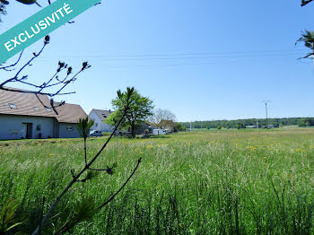 terrain à Traubach-le-Haut (68)