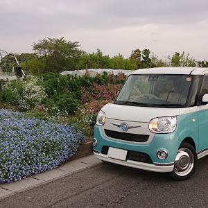 ムーヴキャンバス LA800S