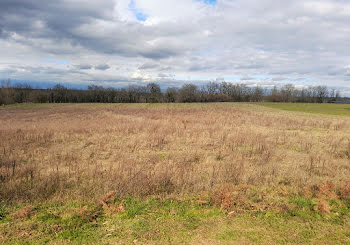 terrain à Villeneuve-de-Marsan (40)