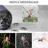 miniatures image - 5