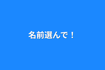 名前選んで！