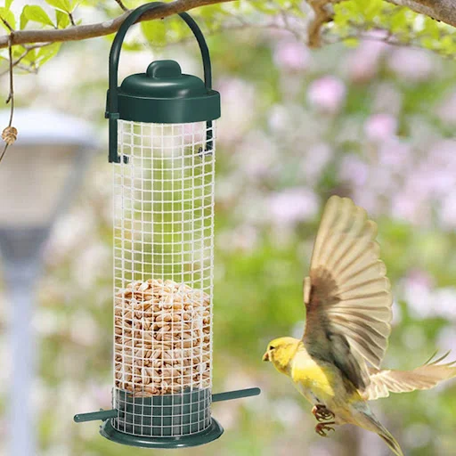 3PCS Wild Bird Feeder House Transparent Hanging Bird FeederGarden Patio Yard Feeding Station Pet Bird Supplies Seed Di