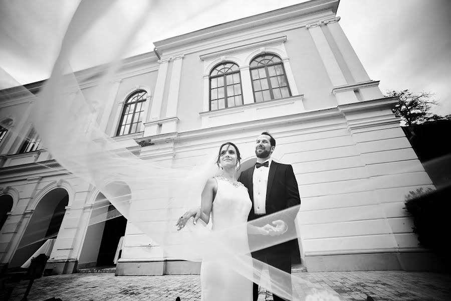 婚禮攝影師Daniel Vegel（danielvegel）。2019 1月15日的照片
