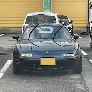 ロードスター NA8C