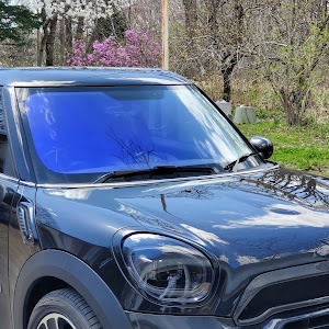 MINI Paceman