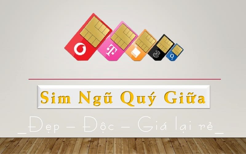 Sim ngũ quý giữa độc đáo và dễ mua hơn ngũ quý đuôi