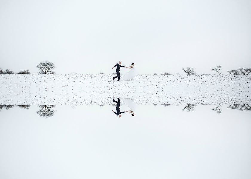 Весільний фотограф Dana Šubová (ubov). Фотографія від 9 січня 2017