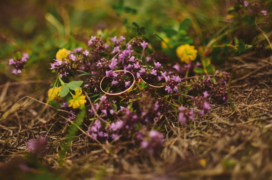 Wedding photographer Anastasiya Potemkina (nasta). Photo of 18 September 2015