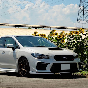 WRX STI VAB