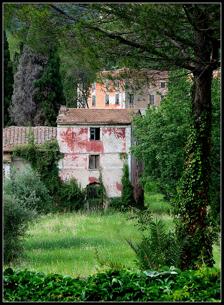 Il parco degli abbandoni di pinoilfino