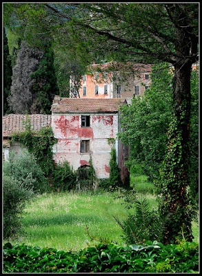 Il parco degli abbandoni di pinoilfino