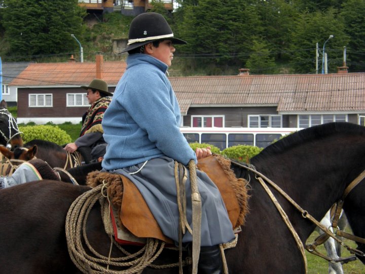 Giovane gaucho di marmotta