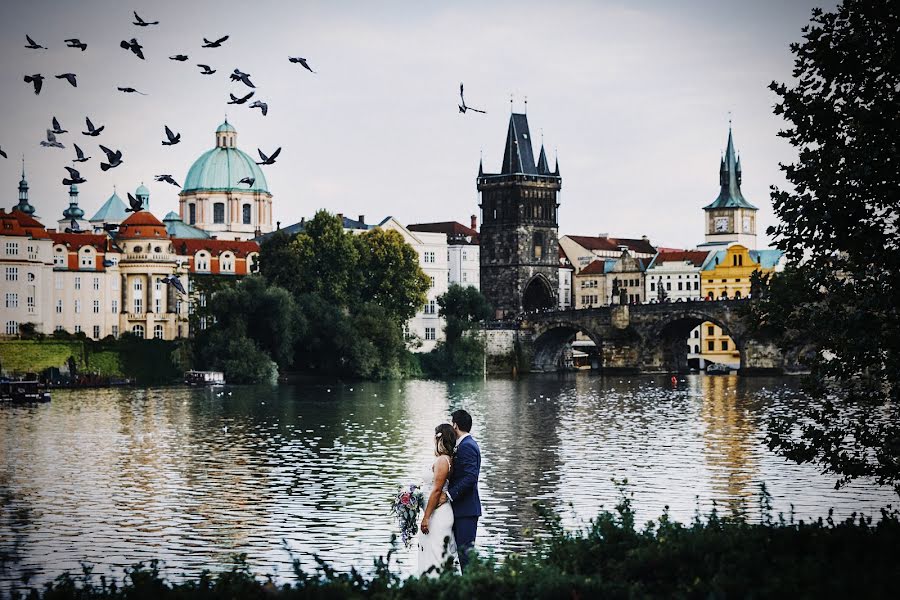 Wedding photographer Petr Pělucha (pelucha). Photo of 30 October 2017