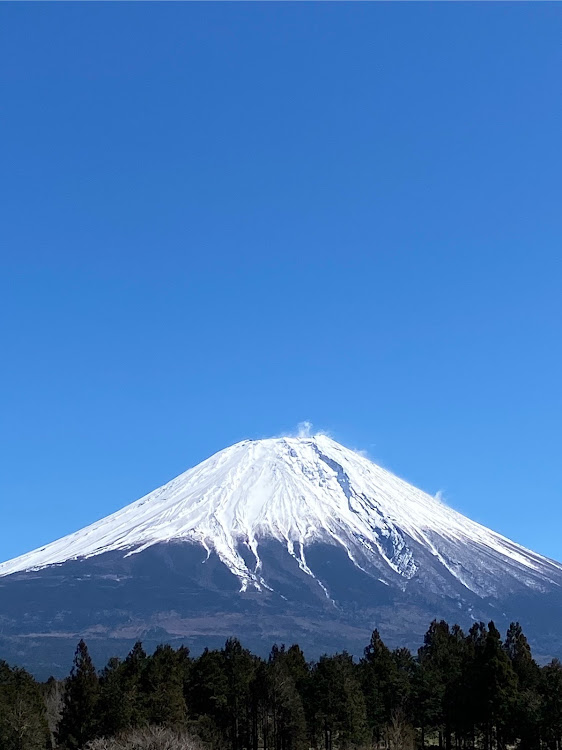 の投稿画像3枚目