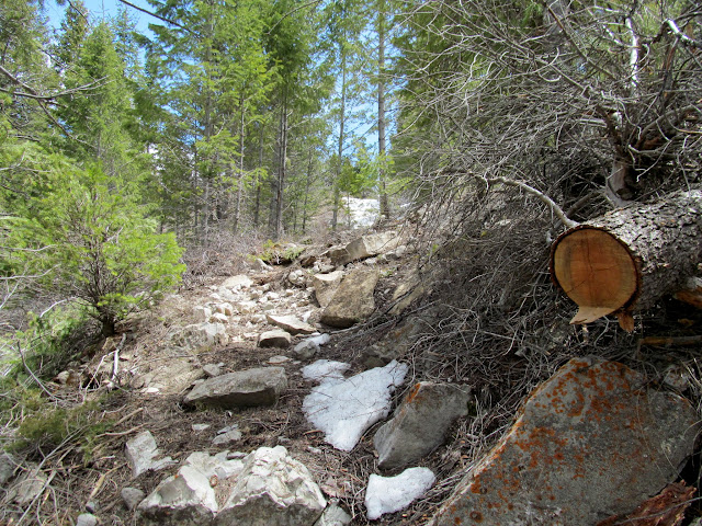 Steep trail into Diamanti Canyon