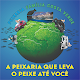 Download Peixaria Família Costa Verde For PC Windows and Mac 0.0.5