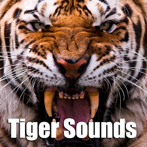 Tiger Sounds 1.0 Icon