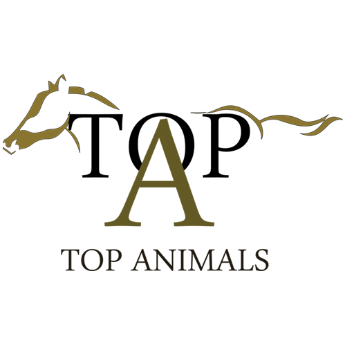 Top Animals