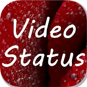 Latest Video Status Hindi  Icon