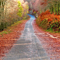 Autunno in montagna di 