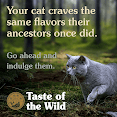 Taste Of The Wild - Rocky Mountain Feline Recipe 6.6Kg – Nai Nướng & Cá Hồi Xông Khói